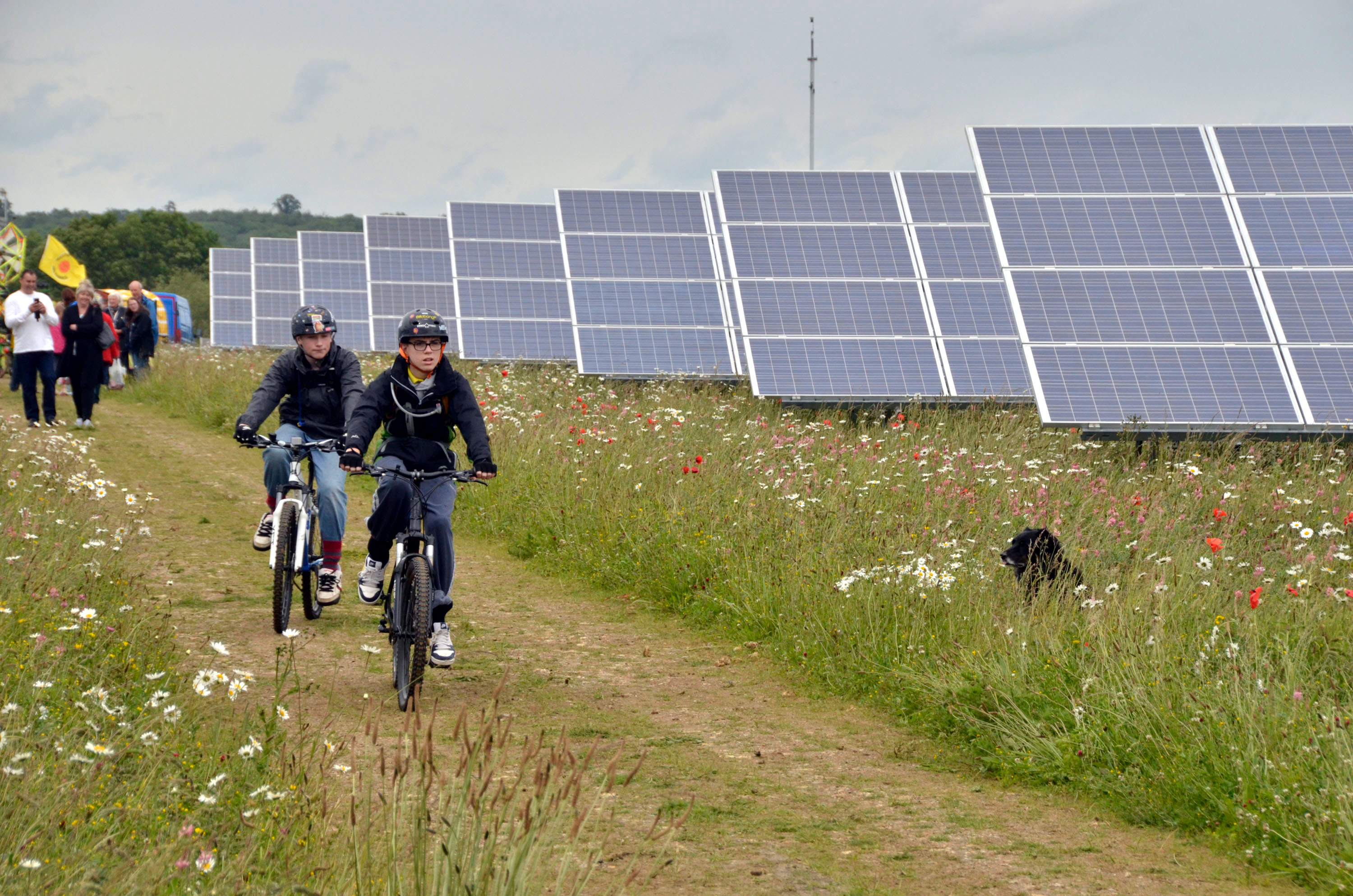 Die Energiewende kann einen positiven Einfluss auf die Demokratie haben, indem sie Gemeinschaften belebt.